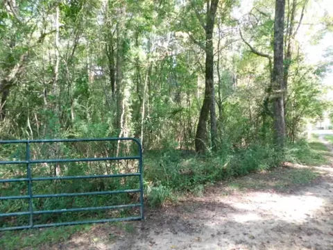 154 W Oakvale Rd, Mount Olive, MS 39119 photo 5