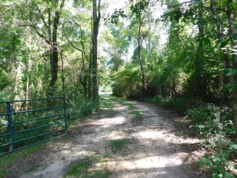154 W Oakvale Rd, Mount Olive, MS 39119 photo 4