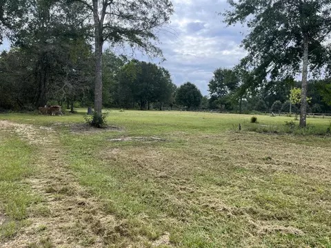 615 Clark Batson Rd, Perkinston, MS 39573 photo 68