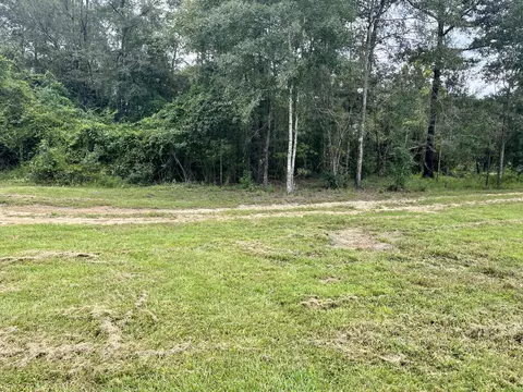 615 Clark Batson Rd, Perkinston, MS 39573 photo 64