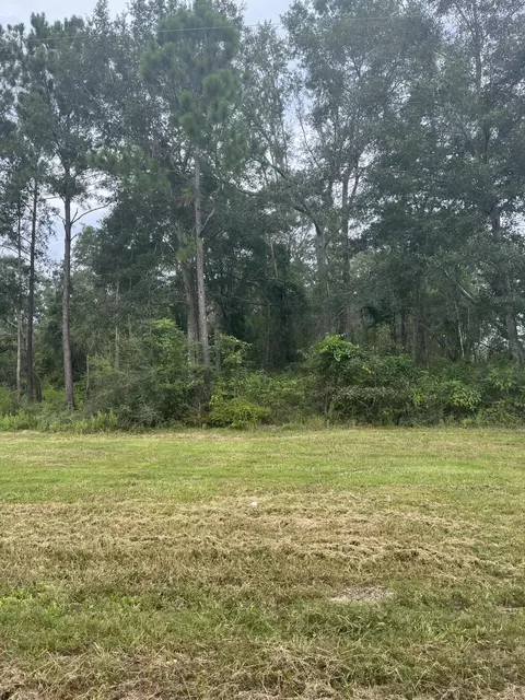 615 Clark Batson Rd, Perkinston, MS 39573 photo 14