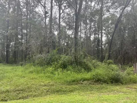 615 Clark Batson Rd, Perkinston, MS 39573 photo 5