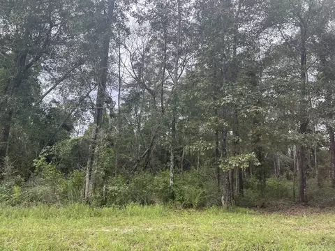 615 Clark Batson Rd, Perkinston, MS 39573 photo 8