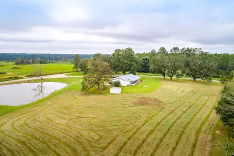 894 Hartzog Magee Rd, Mount Olive, MS 39119 photo 3