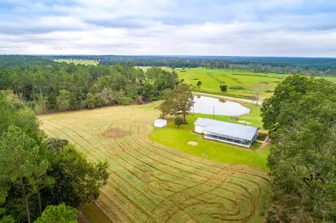 894 Hartzog Magee Rd, Mount Olive, MS 39119 photo 4