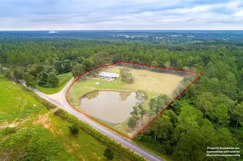 894 Hartzog Magee Rd, Mount Olive, MS 39119 photo 9