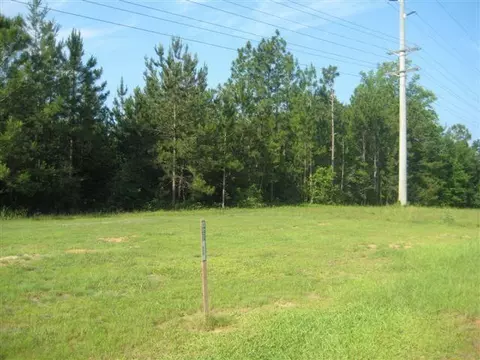 0 Hwy 42 E, Petal, MS 39465