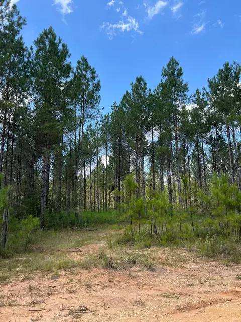 Parcel I Old River Rd., Moselle, MS 39459