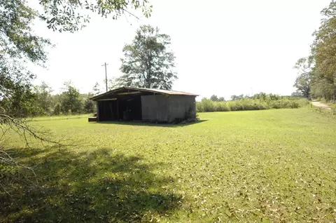 345 Holmes Rd, Jayess, MS 39641 photo 7