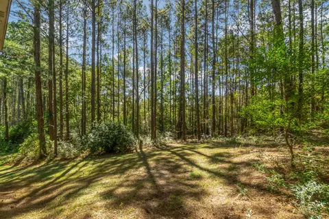 17 S Windridge Loop, Purvis, MS 39475 photo 38