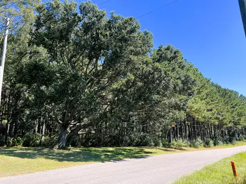 122 Deavers Rd, Purvis, MS 39475 photo 4