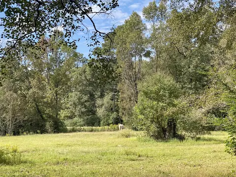 25 Eden St, Mclain, MS 39456 photo 34