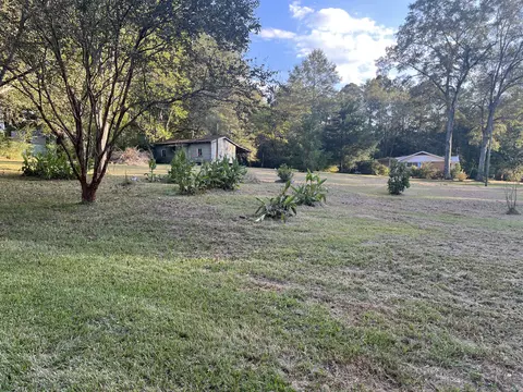 203 E Main, Heidelberg, MS 39439 photo 16