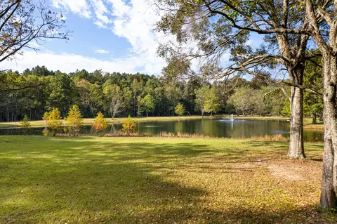 77 Theos Rd, Laurel, MS 39443 photo 67
