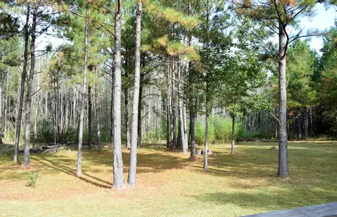 128 Hemingway Dr, Sumrall, MS 39482 photo 38