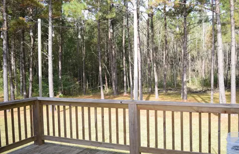 128 Hemingway Dr, Sumrall, MS 39482 photo 29