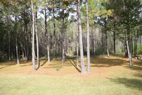 128 Hemingway Dr, Sumrall, MS 39482 photo 37