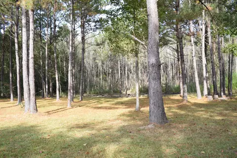 128 Hemingway Dr, Sumrall, MS 39482 photo 36