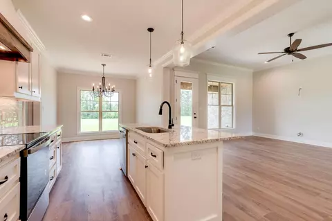 258 Higgins Rd, Sumrall, MS 39482 photo 8