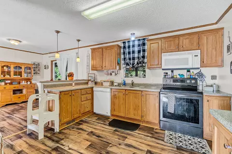 207 River Loop, Beaumont, MS 39423 photo 14