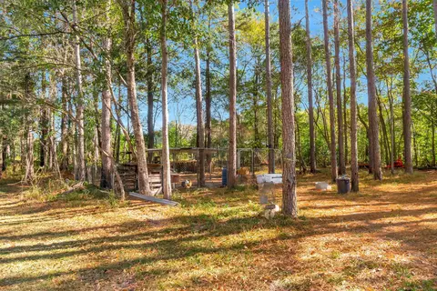 207 River Loop, Beaumont, MS 39423 photo 37