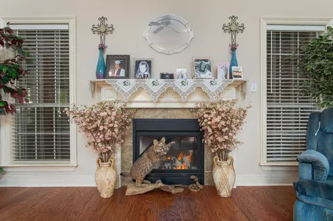 34 Palm Tree Loop, Petal, MS 39465 photo 5