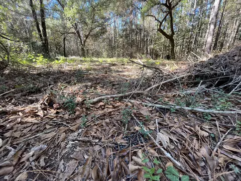 19 Acres Bellanger Rd, Brooklyn, MS 39425 photo 18
