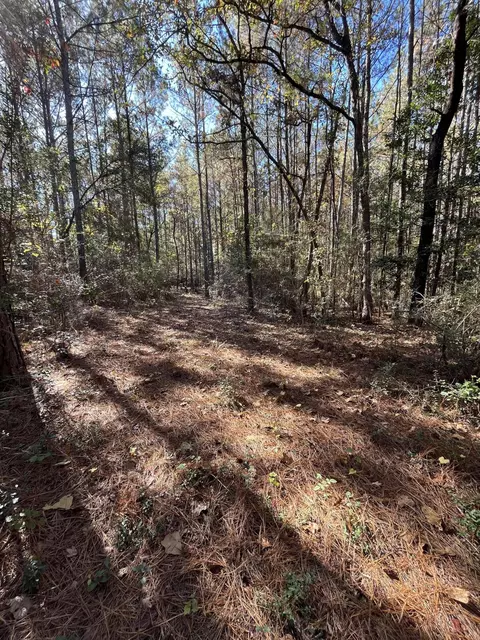 19 Acres Bellanger Rd, Brooklyn, MS 39425 photo 20