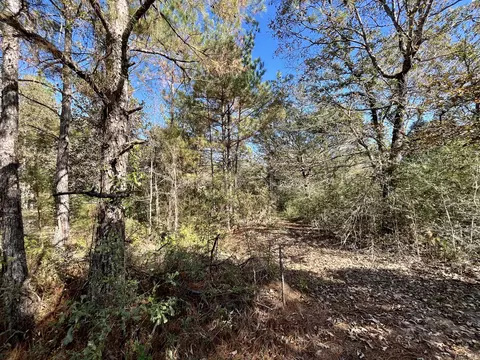19 Acres Bellanger Rd, Brooklyn, MS 39425 photo 15