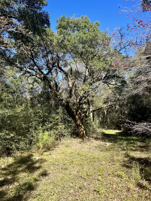 19 Acres Bellanger Rd, Brooklyn, MS 39425 photo 16