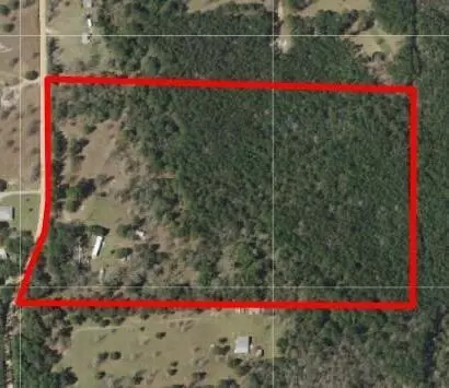 19 Acres Bellanger Rd, Brooklyn, MS 39425 photo 2