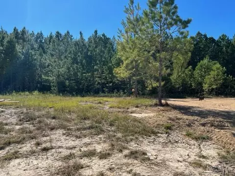 25 Pipestone Pass, Sumrall, MS 39482 photo 11