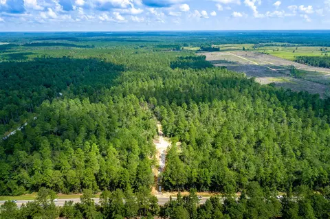 Parcel 2 15.3 Acres, Sumrall, MS 39482