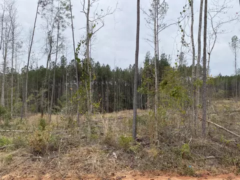 lot1 5 Acres Robert Moore Rd, Chunky, MS 39323