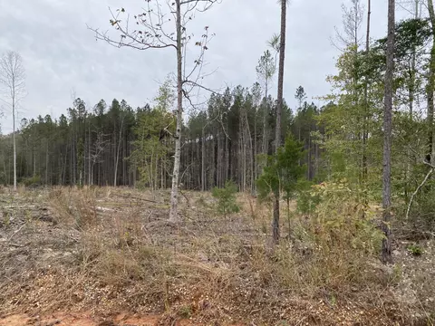 lot2 711 Acres Robert Moore Rd, Chunky, MS 39323