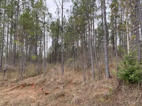 lot4 6 Acres Robert Moore Rd, Chunky, MS 39323
