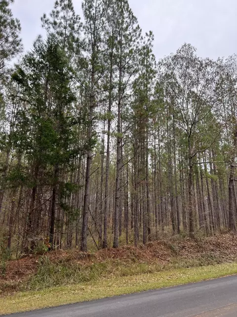 lot5 347 Acres Point Wanita Lake Rd, Chunky, MS 39323