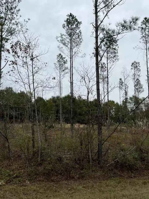 lot12 1139 Acres Point Wanita Lake Rd, Chunky, MS 39323