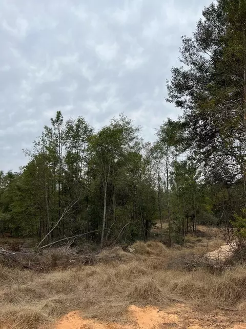 lot17 95 Acres Robert Moore Rd, Chunky, MS 39323