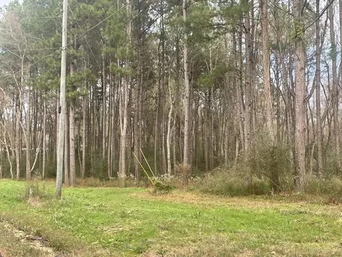 20 Cactus Dr, Laurel, MS 39443 photo 5