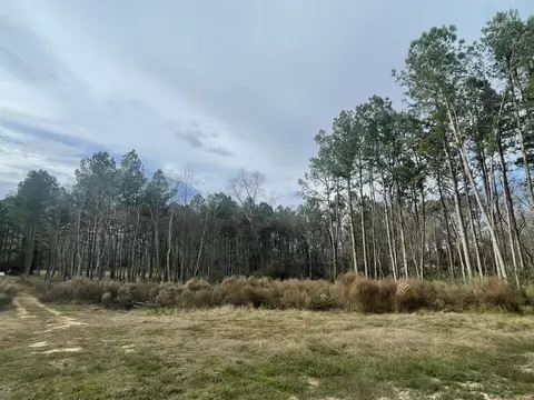 20 Cactus Dr, Laurel, MS 39443 photo 3