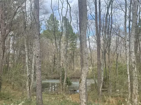 20 Cactus Dr, Laurel, MS 39443 photo 4