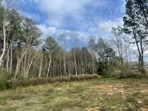 20 Cactus Dr, Laurel, MS 39443 photo 2