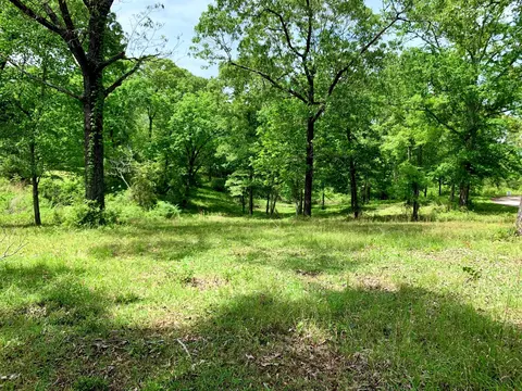 15 Acres Mccarter Cir Old Hwy 11, Purvis, MS 39475