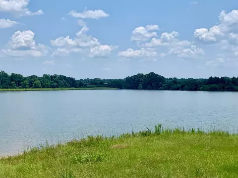 21 Cavalcade, Sumrall, MS 39482 photo 47