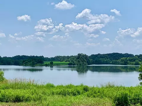 21 Cavalcade, Sumrall, MS 39482 photo 46