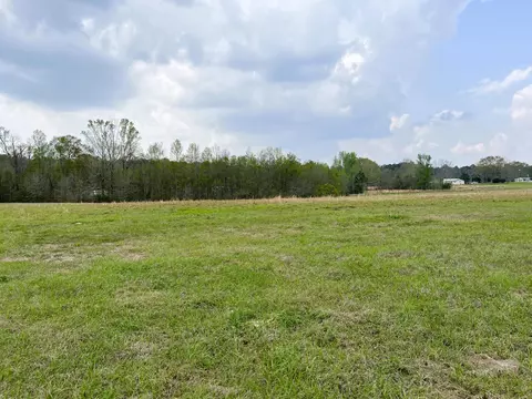 279 Arthur Lowe Rd, Lumberton, MS 39455