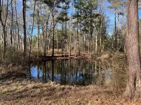 198 Walt Culpepper Rd, Laurel, MS 39443 photo 7
