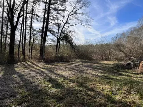 198 Walt Culpepper Rd, Laurel, MS 39443 photo 2