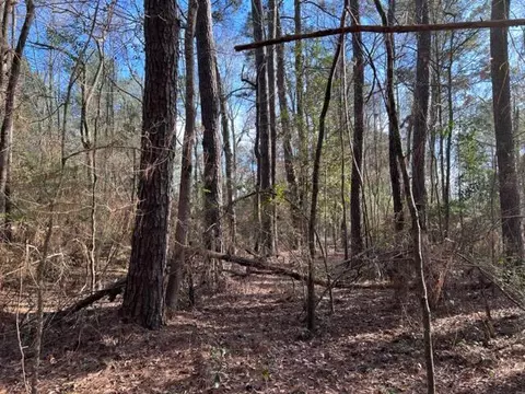 198 Walt Culpepper Rd, Laurel, MS 39443 photo 3